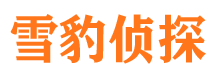 环江调查公司